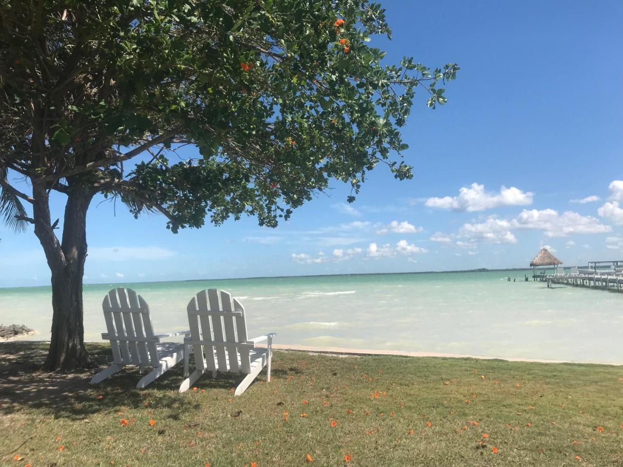 Tilt-Ta-Dock Resort Belize Corozal Bagian luar foto